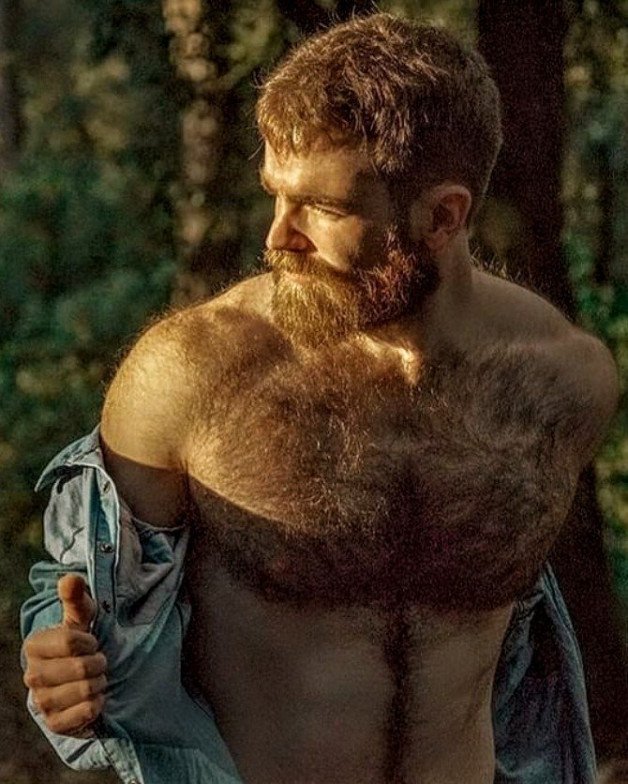 Photo by Nickplus33 with the username @Nickplus33, who is a verified user,  March 14, 2024 at 2:48 AM and the text says '#bear #beard #ginger #toned #outdoors #dilf #hairy'