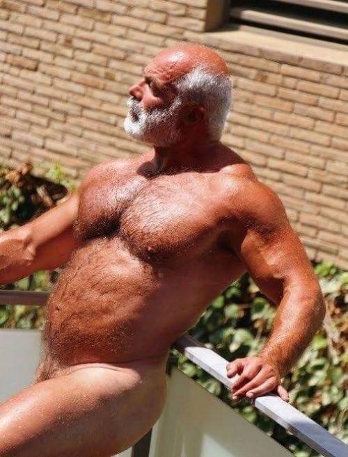 Photo by Nickplus33 with the username @Nickplus33, who is a verified user,  September 24, 2023 at 6:03 AM and the text says '#daddy #icebear #bald #beard #beefy #hairy #granddaddy'