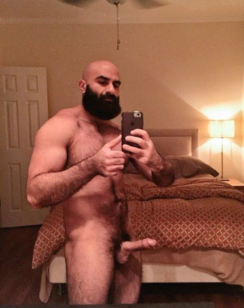 Photo by Nickplus33 with the username @Nickplus33, who is a verified user,  March 1, 2024 at 5:04 AM and the text says '#bald #dilf #toned #hairy #beard #longdick #hung #thickbush #selfie'