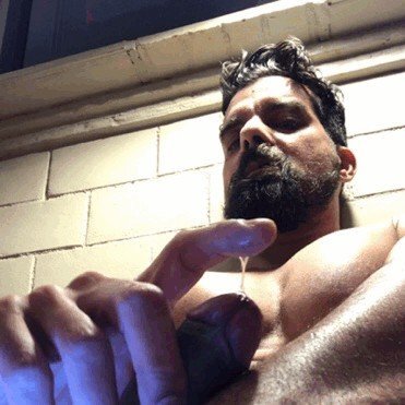 Photo by Nickplus33 with the username @Nickplus33, who is a verified user,  January 4, 2024 at 7:55 AM and the text says '#gifs #beard #precum #cumeater #dilf'