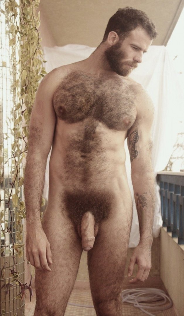 Photo by Nickplus33 with the username @Nickplus33, who is a verified user,  April 17, 2024 at 2:43 AM and the text says '#dilf #hairy #thickbush #uncut  #hung #veiny #beard #hairychest #happytrail'