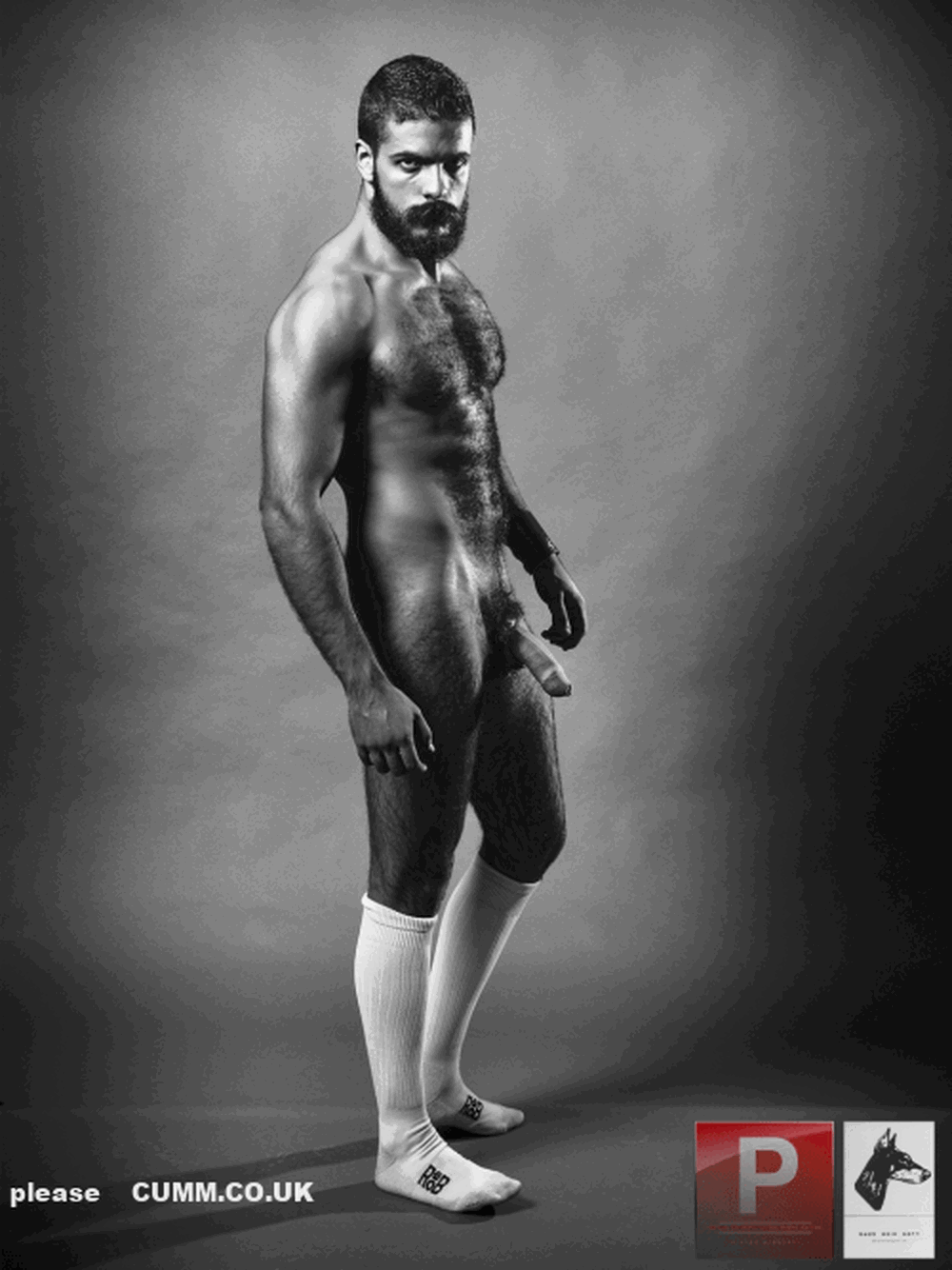 Photo by Nickplus33 with the username @Nickplus33, who is a verified user,  April 28, 2024 at 3:11 AM and the text says '#hairy #dilf #beard #bush #hung #uncut'
