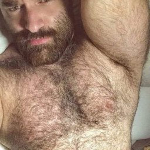 Photo by Nickplus33 with the username @Nickplus33, who is a verified user,  April 26, 2024 at 1:50 AM and the text says '#hairy #dilf #daddy #bear #beard'