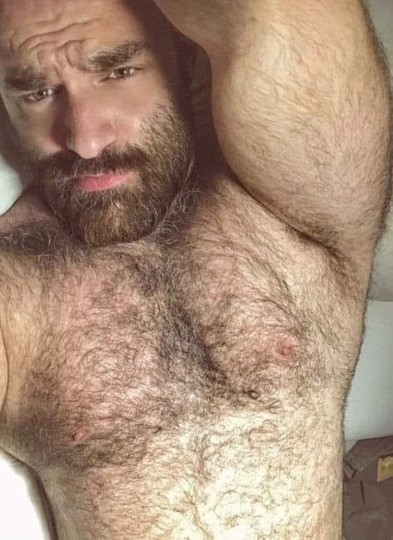 Photo by Nickplus33 with the username @Nickplus33, who is a verified user,  April 26, 2024 at 1:50 AM and the text says '#hairy #dilf #daddy #bear #beard'