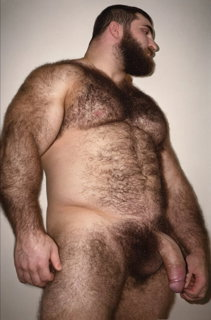 Photo by Nickplus33 with the username @Nickplus33, who is a verified user,  June 27, 2024 at 8:38 AM and the text says '#beefy #bear #hairy #hung #massivecock #thickdick #monstercock #thickbush'