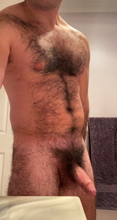 Photo by Nickplus33 with the username @Nickplus33, who is a verified user,  June 11, 2024 at 1:53 AM and the text says '#beefy #hairy #dilf #daddy #thickbush #hung #uncut'