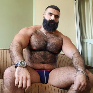 Photo by Nickplus33 with the username @Nickplus33, who is a verified user,  July 3, 2024 at 2:04 AM and the text says '#beefy #bear #dilf #beard #hairy #manspread  #bulge #chain'