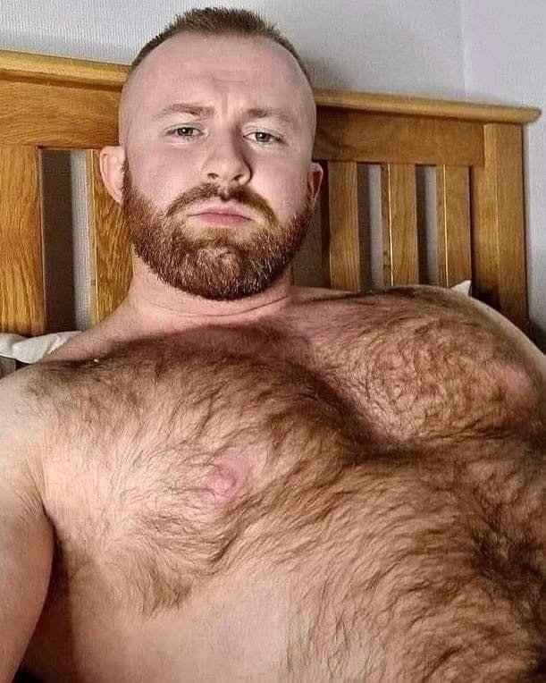 Photo by Nickplus33 with the username @Nickplus33, who is a verified user,  April 25, 2024 at 2:12 AM and the text says '#hairy #beefy #beard #dimple #ginger #dilf'