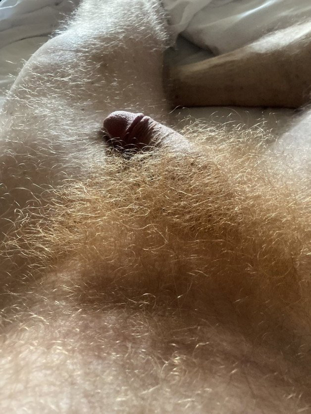 Photo by Nickplus33 with the username @Nickplus33, who is a verified user,  May 19, 2024 at 5:29 AM and the text says '#ginger #thickbush #hairy'