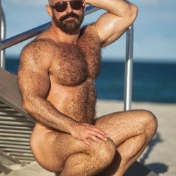 Photo by Nickplus33 with the username @Nickplus33, who is a verified user,  January 19, 2024 at 1:43 AM and the text says '#beefy #toned #daddy #bald #dilf #hairy #shades #outdoors #beach #outdoors'