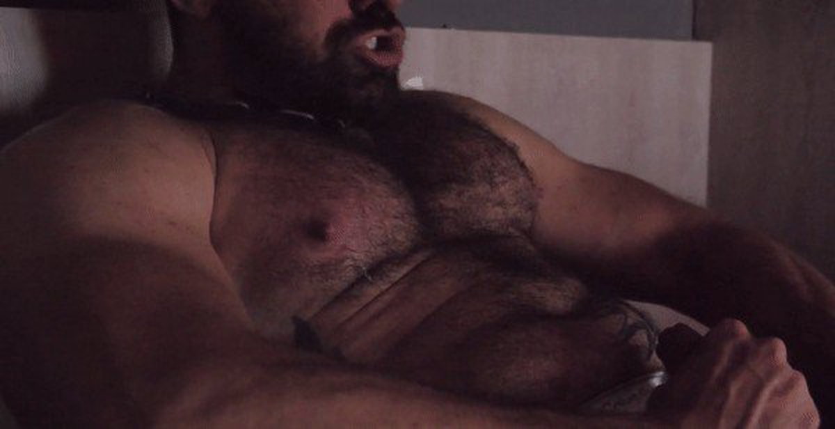 Photo by Nickplus33 with the username @Nickplus33, who is a verified user,  April 19, 2024 at 2:06 AM and the text says '#cumshooter #gif #muscled #beefy #hairy #beard #cumfacial #cummybeard #cum'
