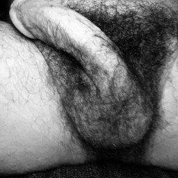 Photo by Midwestern Dick with the username @midwestjays,  November 19, 2021 at 12:20 AM. The post is about the topic Gay hairy cocks and the text says 'mmmmm relaxing after work always means letting out the bush and bits #woof'