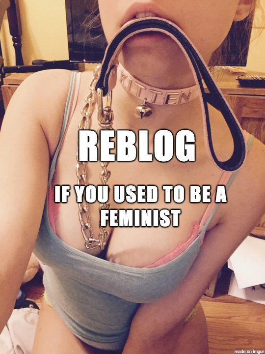 Photo by anastasiamarkranjit with the username @anastasiamarkranjit,  March 16, 2018 at 8:06 PM and the text says 'I used to be a hard core male feminist. Feminism turned me into a girls best friend and a sissy. Now I am a cock hungry sissy whore who believes in the supremacy of the ALPHA MALE and yearns to be owned, used and abused by as many ALPHA COCKS as possible...'