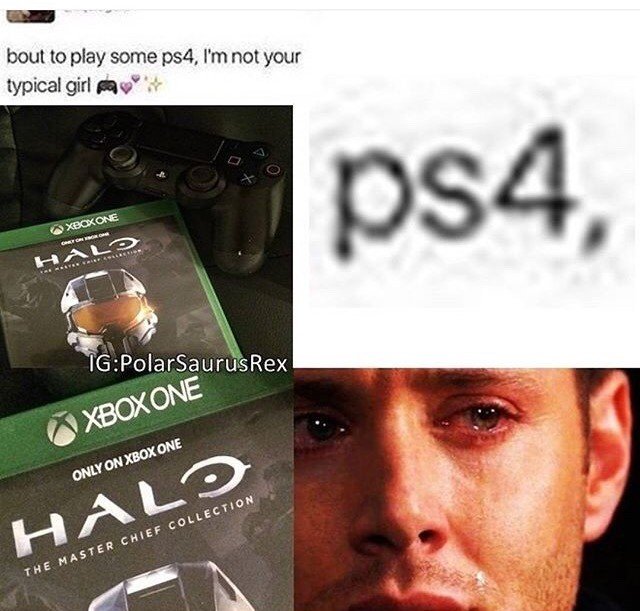 Watch the Photo by the5impleton with the username @the5impleton, who is a verified user, posted on August 10, 2017 and the text says 'game-posts:*sighs* dumb bitch #lol  #Halo  #gamer'