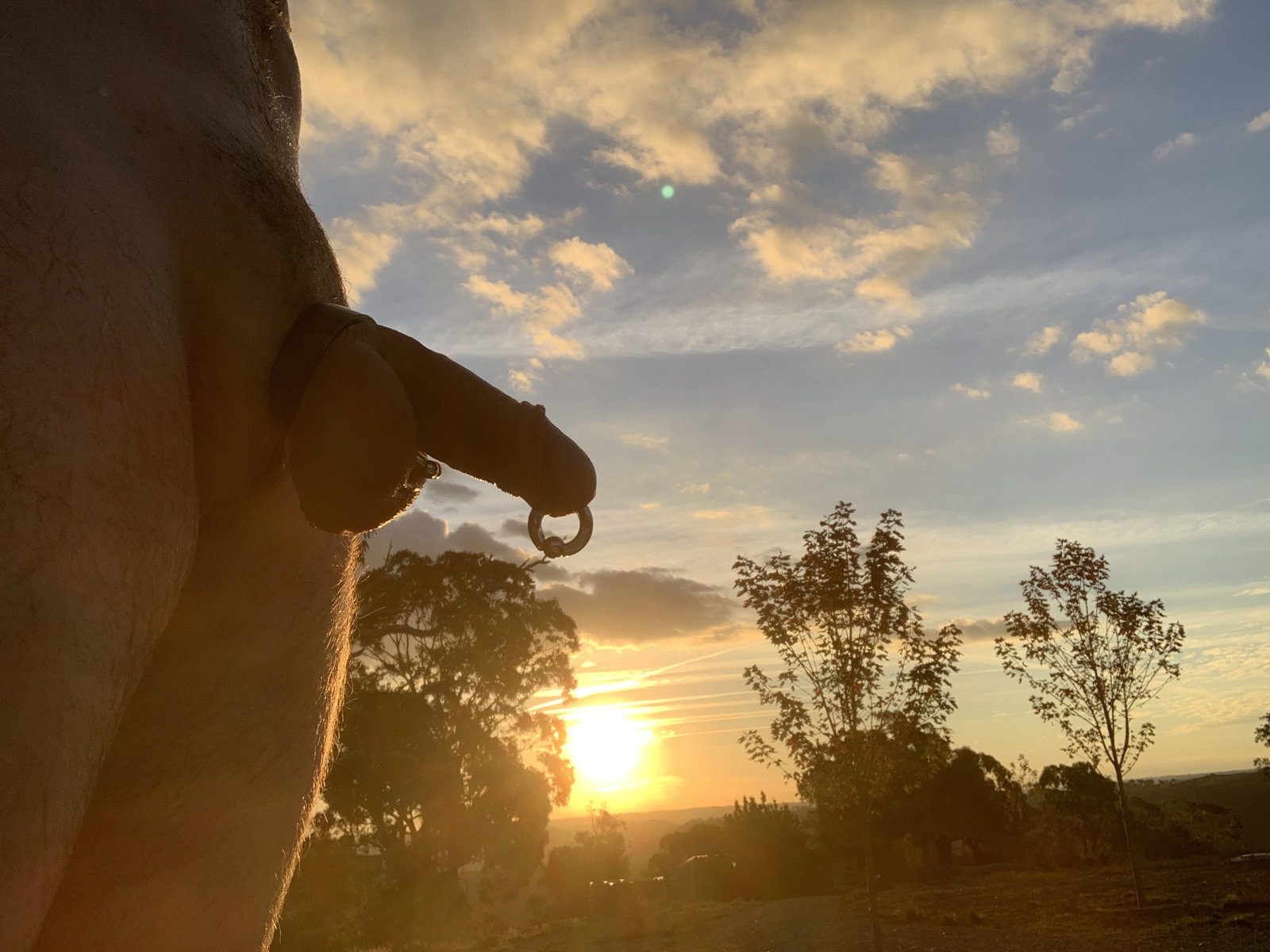 Photo by UncutAussie (Sydney) with the username @UncutAussie, who is a verified user,  April 27, 2019 at 5:24 AM. The post is about the topic Prince Albert and the text says 'Watching the sunset'
