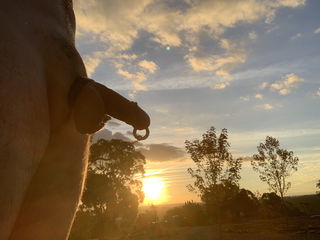 Photo by UncutAussie (Sydney) with the username @UncutAussie, who is a verified user,  April 27, 2019 at 5:24 AM. The post is about the topic Prince Albert and the text says 'Watching the sunset'