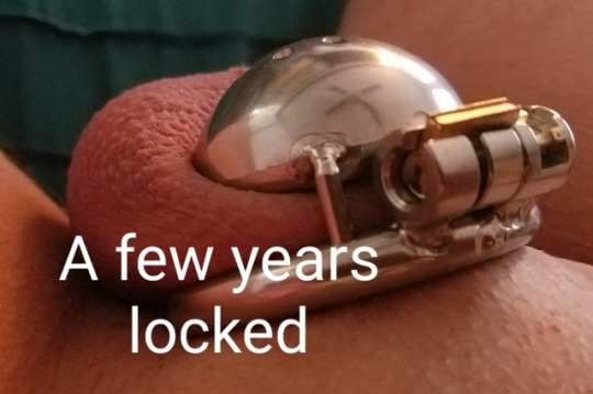 Photo by tinywhiteboi with the username @tinywhiteboi, who is a verified user,  January 5, 2019 at 10:22 PM and the text says 'My little peepee used to be almost 4" long. After long-term chastity it has shrunk to almost 1", a little nub that no longer gets hard. And I love it'