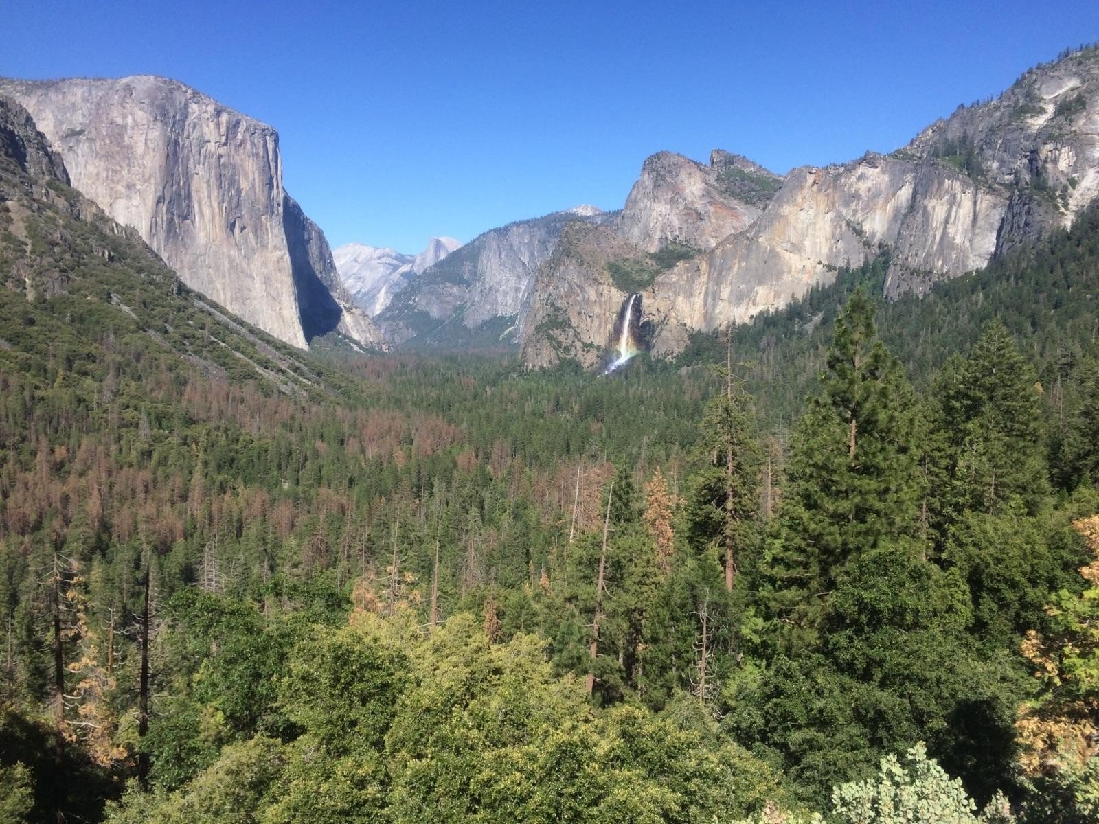 Watch the Photo by mznataliaalexandria with the username @mznataliaalexandria, who is a star user, posted on June 29, 2017 and the text says 'The views from Yosemite National Park&hellip; from “Slave BC” #yosemite  #moon  #bareass  #public  #nudism  #tourism  #slave  #training  #task'