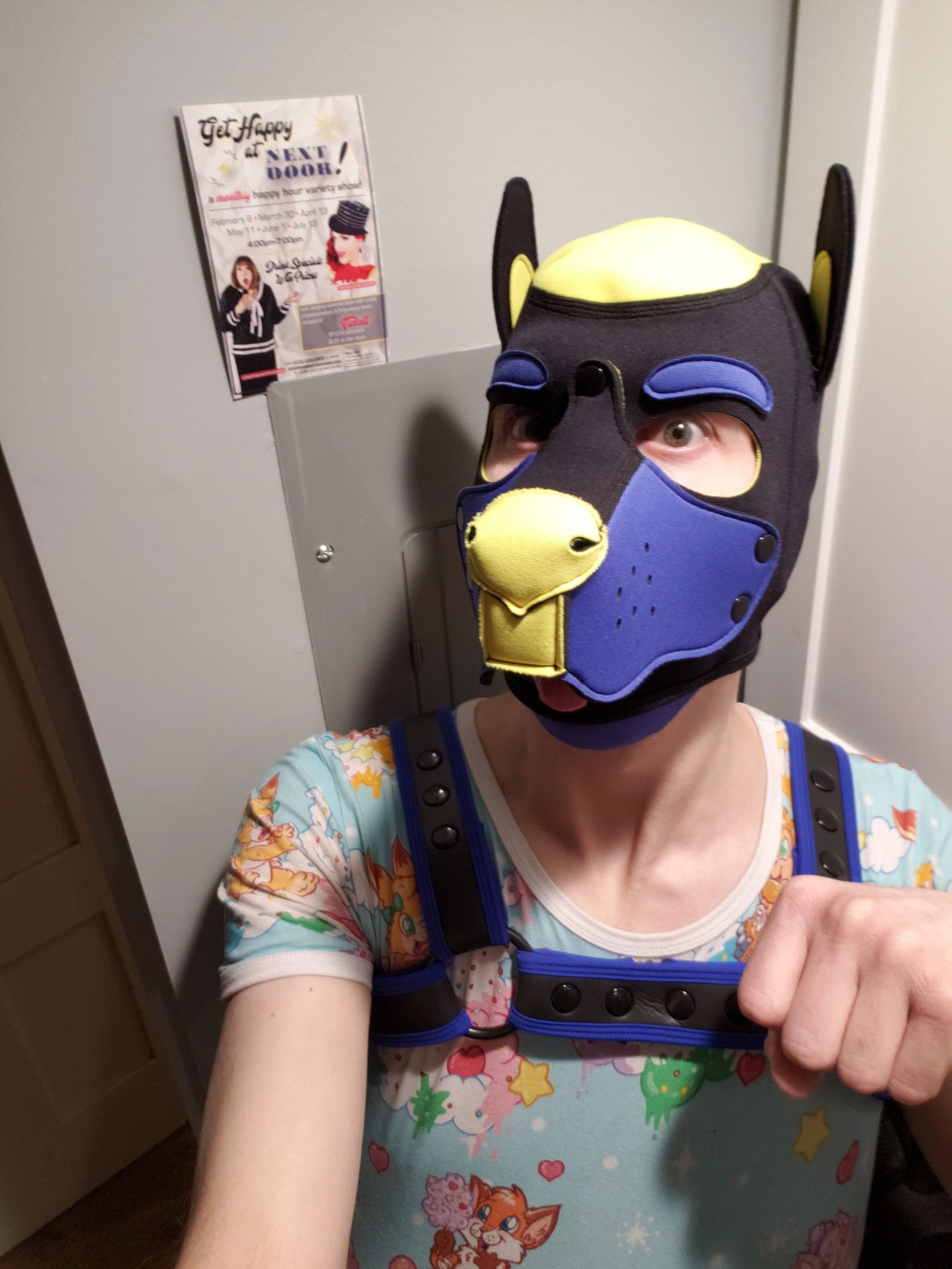 Photo by EmersonDoggo with the username @EmersonDoggo,  February 12, 2019 at 8:15 PM