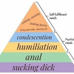 Photo by blablu with the username @blablu,  May 19, 2023 at 9:10 PM. The post is about the topic Helping my slaves become better and the text says 'Hierarchy of a slut's needs'