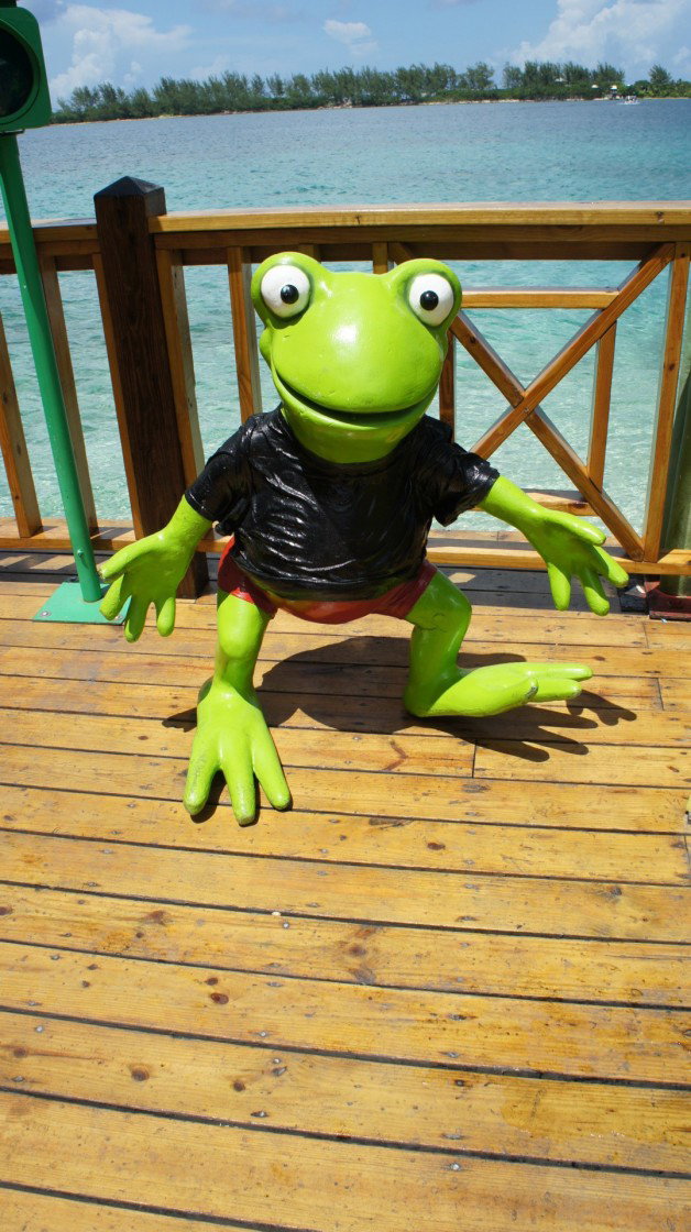 Photo by RudiR with the username @RudiR, who is a verified user,  May 26, 2012 at 9:48 PM and the text says '#Frosch'
