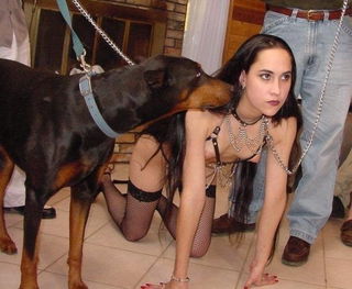 Album by The Darkened Door with the username @darkeneddoor, who is a verified user,  June 3, 2019 at 2:35 AM. The post is about the topic collar and leash and the text says 'The look on her face reveals the struggle to accept her new place in life.  She will be trained accordingly'