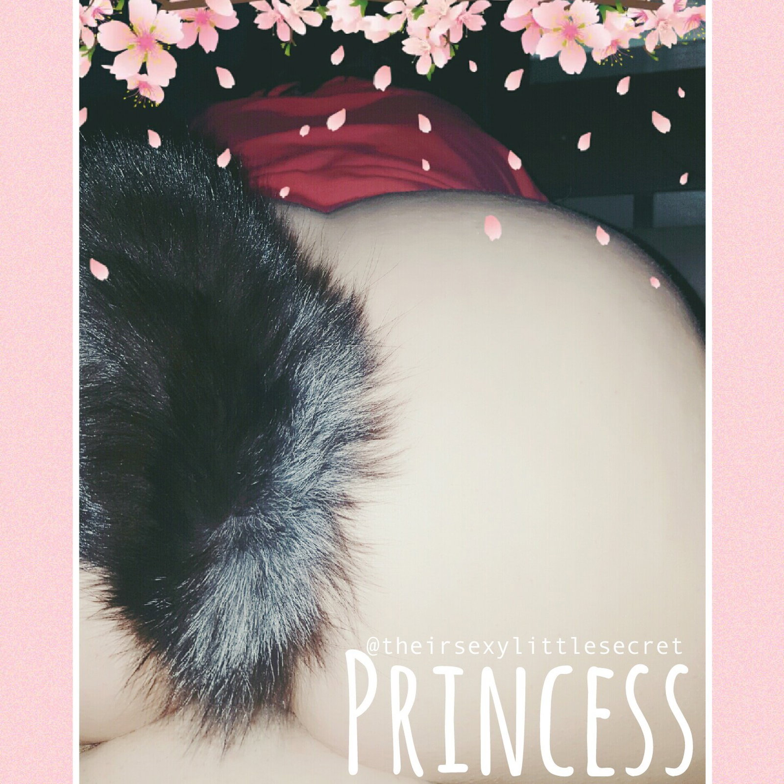 Watch the Photo by sexylittlesecret with the username @sexylittlesecret, who is a verified user, posted on February 6, 2017 and the text says 'I GOT A TAIL!!! 
~ Happy Princess #dd/lg  #blog  #dd/lg  #lifestyle  #daddy  #daddy  #kink  #daddy  #dom  #daddyslittlegirl  #daddysgirl  #daddysprincess  #daddys  #little  #princess  #daddys  #little  #girl  #daddys  #little  #kitten  #buttplug  #butt..'