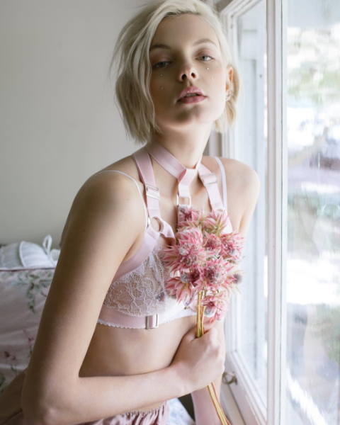 Photo by PureForm with the username @PureForm,  April 16, 2017 at 5:17 PM and the text says 'thelingerielovely:

Pretty pinks  Teale Coco wears her namesake label’s harness and SJ Lingerie for Sticks &amp; Stones Agency // ph: Sarah Tee &amp; styling: Arlia Sroyphet #lookbook  #lingerie  #lingerie  #lookbook  #see  #through  #see  #through  #lace..'