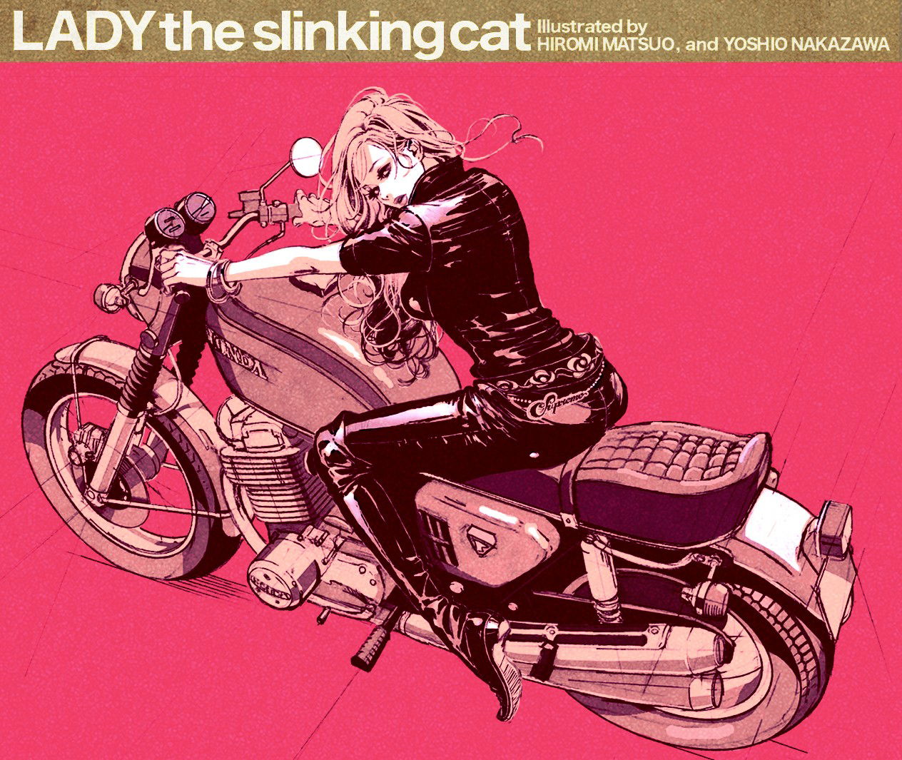 Photo by smutch with the username @smutch,  November 25, 2010 at 9:06 PM and the text says '#pink  #motorcycle  #babe  #awesome  #pictures  #girl  #woman  #girl  #on  #motorcycle'