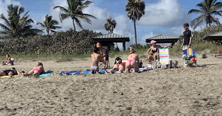 Album by Creamsome with the username @Creamforall,  March 14, 2020 at 3:56 PM. The post is about the topic Voyeur and the text says 'Beach butts'