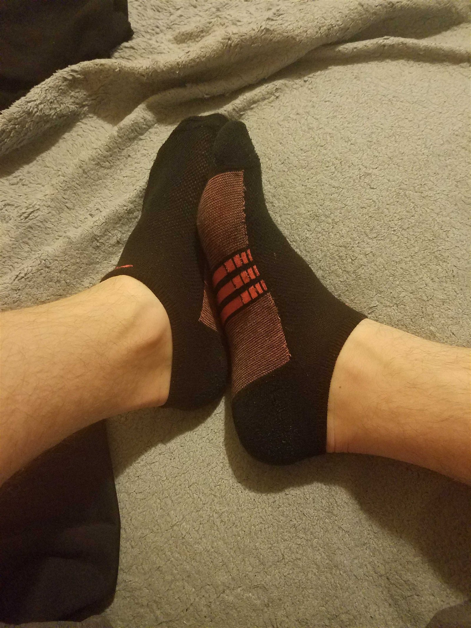 Photo by midwest22323 with the username @midwest22323, who is a verified user,  June 10, 2018 at 6:23 AM and the text says 'Adidas no show'