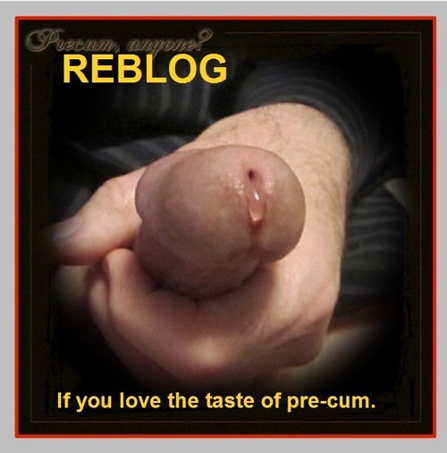 Photo by wigg with the username @wigg,  February 20, 2017 at 9:24 PM and the text says 'blowu4cum:

atlbtmpig:
Love the taste of precum

Fuck in love PRECUM . Not as much as thick warm  creamy CUM though. 

I love it!'