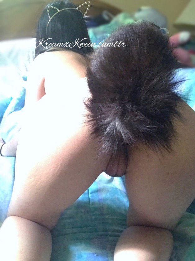 Photo by thehiddenfantasy with the username @thehiddenfantasy, who is a verified user,  July 6, 2018 at 12:42 PM and the text says 'kreamxkween:

Here kitty, kitty. 
Full-Length Vids || Wishlist (;

Beautiful #butt  #plug  #booty  #ass  #pussy  #fox  #tail  #asian'