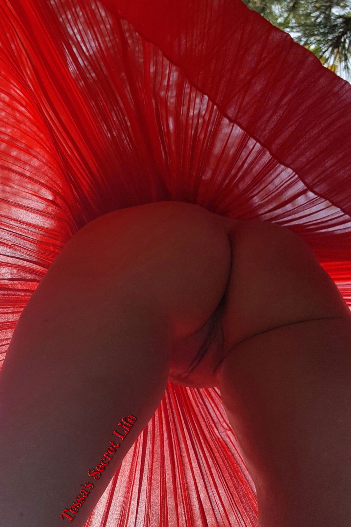 Photo by TessasSecretLife with the username @TessasSecretLife, who is a verified user,  February 4, 2019 at 5:51 PM