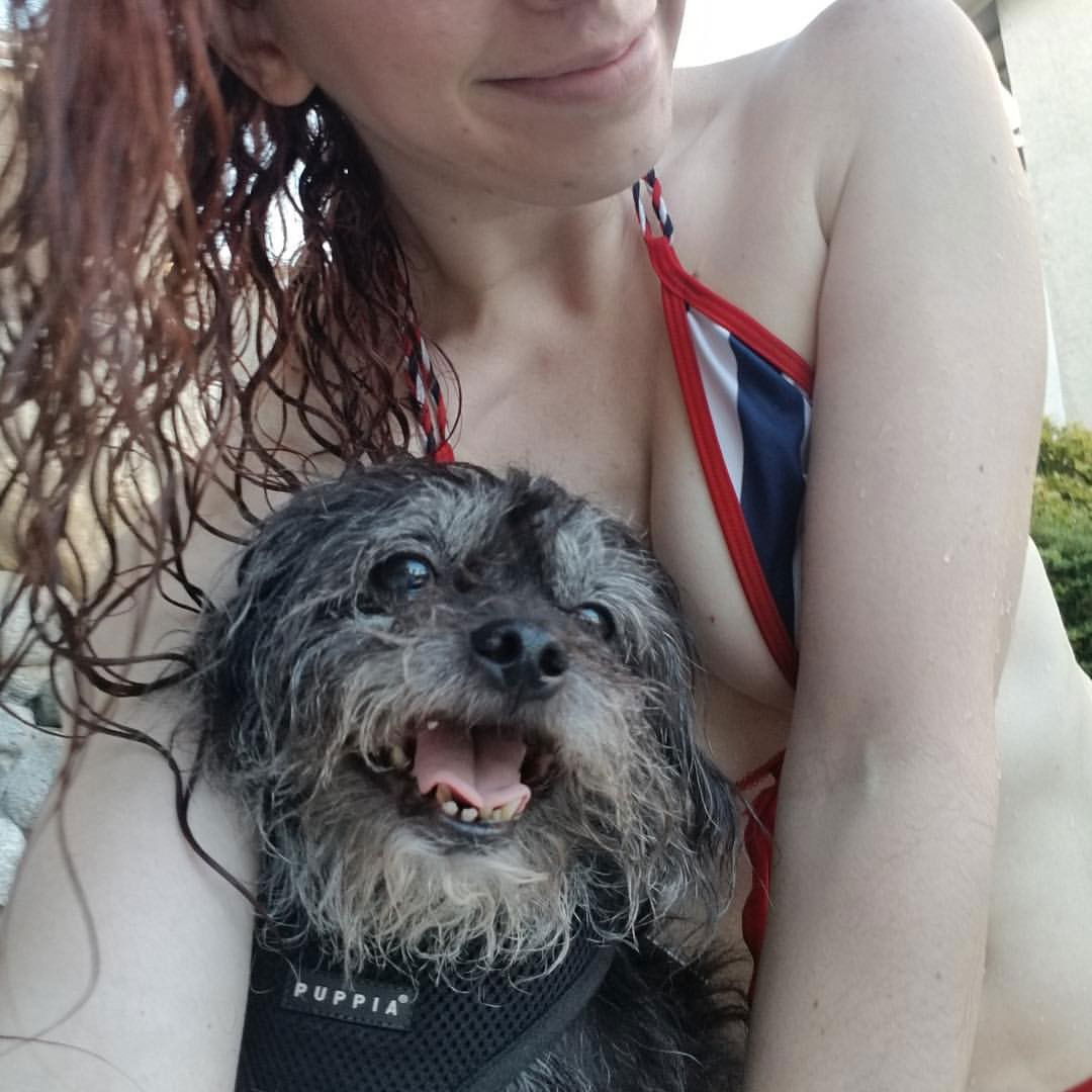 Photo by SammyStrips with the username @SammyStrips,  September 24, 2018 at 2:48 AM and the text says 'We like chilling by the hot tub #endlesssummer #hottub #vegas #pugsofinstagram #pugapoo #bikini  (at Las Vegas Nevada)
https://www.instagram.com/p/BoF7esiATrP/?utm_source=ig_tumblr_share&amp;igshid=169tiigt31kxw #endlesssummer  #hottub  #vegas..'