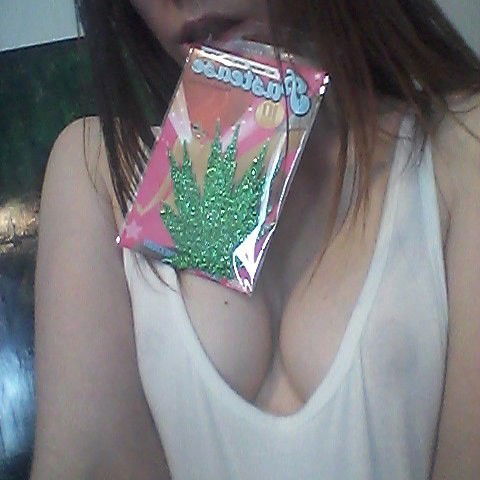 Photo by SammyStrips with the username @SammyStrips,  April 20, 2016 at 6:38 PM and the text says 'They arrived just in time!! From none other than my favorite brand @pastease

It&rsquo;s awesome that I can get them through Amazon Prime because my stoner ass only ordered them yesterday :p

#420girlsofficial #blazingbeauties #420 #420girls..'