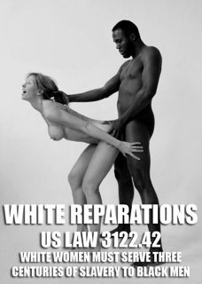 Shared Photo by TinyTommy with the username @TinyTommy,  April 12, 2019 at 7:54 PM. The post is about the topic New White Reality and the text says 'Every time I hear candidates talk about reparations, this is the image that runs through my mind'