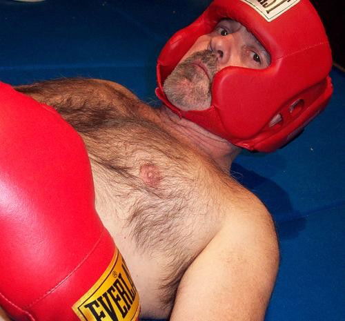 Album by Hairy Musclebears with the username @hairymusclebears,  July 12, 2019 at 2:01 AM and the text says 'Gay Hairy Daddybear Boxer Man Boxing from GLOBALFIGHT.com personals #gay #boxing #boxer #gayman #gaydaddy #gaybear #hairychest #goatee'