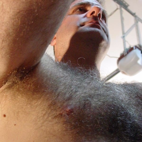 Watch the Photo by Hairy Musclebears with the username @hairymusclebears, posted on September 2, 2019. The post is about the topic GayTumblr. and the text says 'Mature Naked Hairy Man from USAFUR.com personals #burlymen #chubbygay #chubbybear #bearchubby #stockybears #thebearmag #instabears #instabear #ursos #picsbybears #GayDaddy #Instagay #GayChub #GayCub #hairybelly #BearPhotoADay #gaychubby #bearweek365..'
