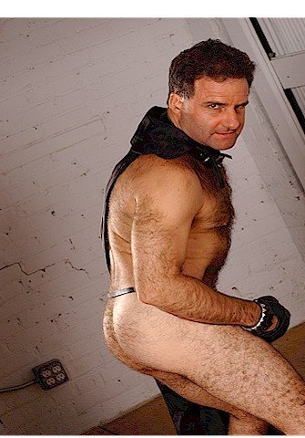 Photo by Hairy Musclebears with the username @hairymusclebears,  October 2, 2019 at 11:58 AM. The post is about the topic GayTumblr and the text says 'Gay Leather Fetish Daddy from USAFUR.com galleries #GayDaddy #Instagay #GayChub #GayCub #hairybelly #BearPhotoADay #gaychubby #bearweek365 #bearsofinstagram #moobs #humanpuppy #humanpupplay #gaypupplay #gayexercisepup #gaymuscle #puppypride #gaykink..'