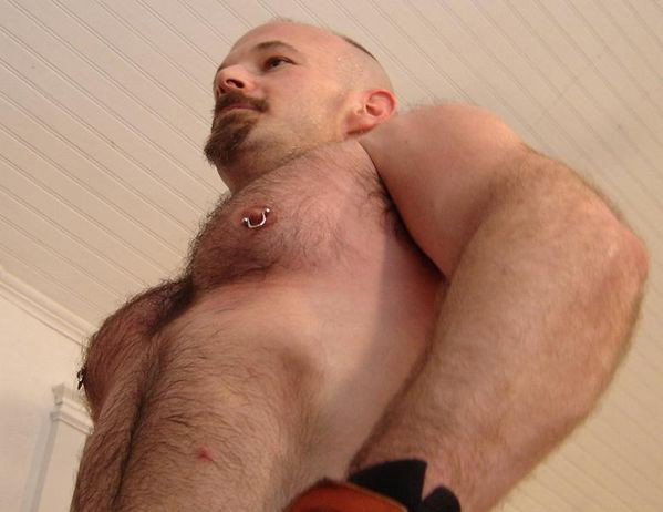 Photo by Hairy Musclebears with the username @hairymusclebears,  September 6, 2019 at 12:52 PM. The post is about the topic GayTumblr and the text says 'Handsome Hairy Muscle Hunk from USAFUR.com personals #musclebuilding #gaydaddy #gaymaturemen #bulgegay #bulgehot #body #gaychile #bodybuilding #muscleworship #bigmusclebear #hairyman #hairymuscle #stockybear #gaymusclebear #290lbs #hairychest #burlymale..'