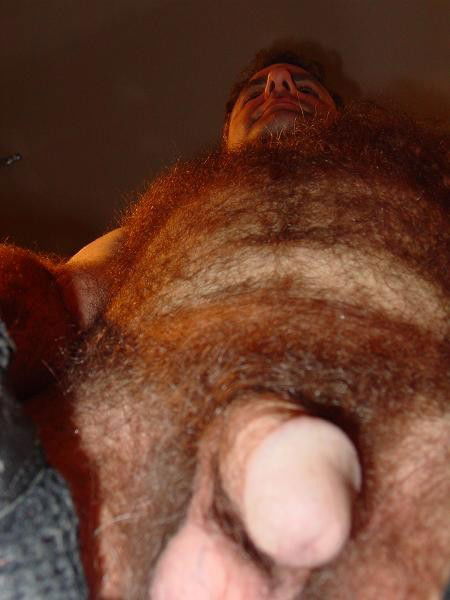 Photo by Hairy Musclebears with the username @hairymusclebears,  August 11, 2019 at 11:04 PM. The post is about the topic GayTumblr and the text says 'Hairychest Gym Man Naked from USAFUR.com personals  #bearpride #beardedhomo #leatherpig #instabear #beardedcub #sexycub #thebeardedhomo #gayusa #gaycalifornia #beardedhomo #bearsofinstagram #gaybody #gaygames #gayguys #gaymale #gayhunk #hairybelly..'