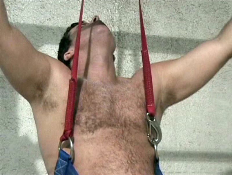 Watch the Photo by Hairy Musclebears with the username @hairymusclebears, posted on January 3, 2020 and the text says 'Gay Bearcub Bondage Dungeon from USAFUR.com videos #gay #bearcub #bondage #dungeon #man #hairy #legs #body #chubbychasers'