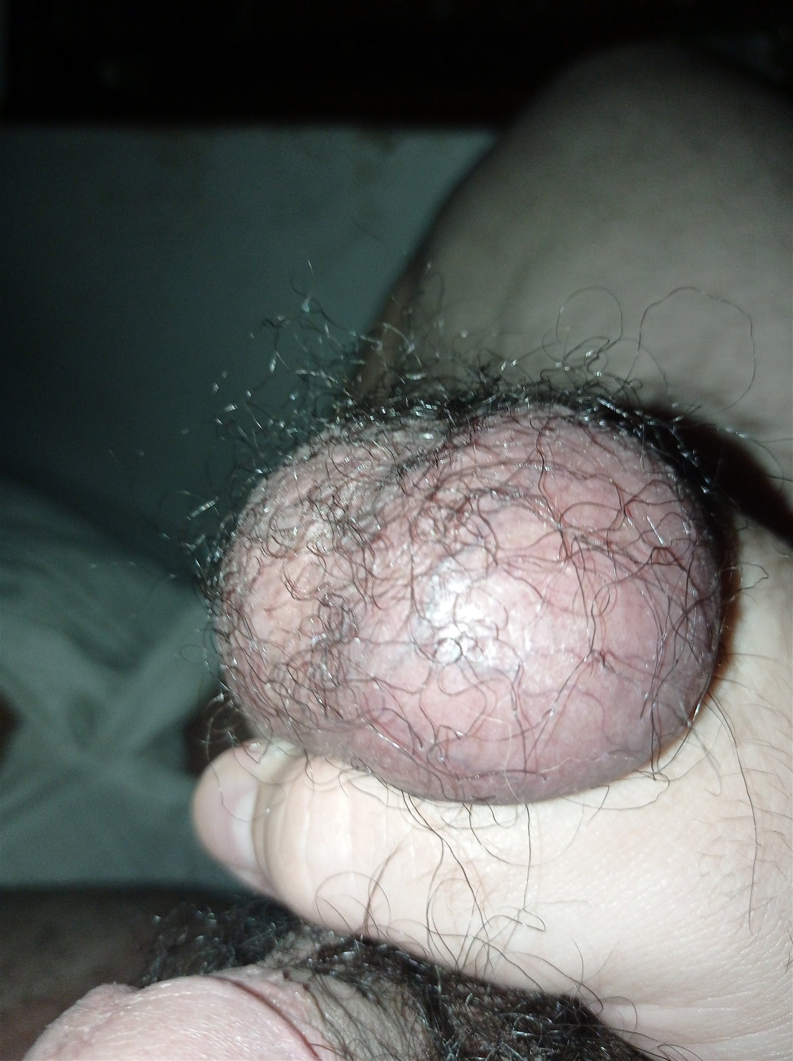 Watch the Photo by Hornyguy with the username @Hornyguy12345677890, posted on February 26, 2024. The post is about the topic Balls. and the text says 'live squeezing my balls makes my cock super hard'