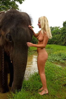 Photo by Captain-LeChene with the username @Captain-LeChene,  April 16, 2017 at 8:10 AM and the text says 'nakedgirlsdoingstuff:Elephant ride on holiday in Sri Lanka'