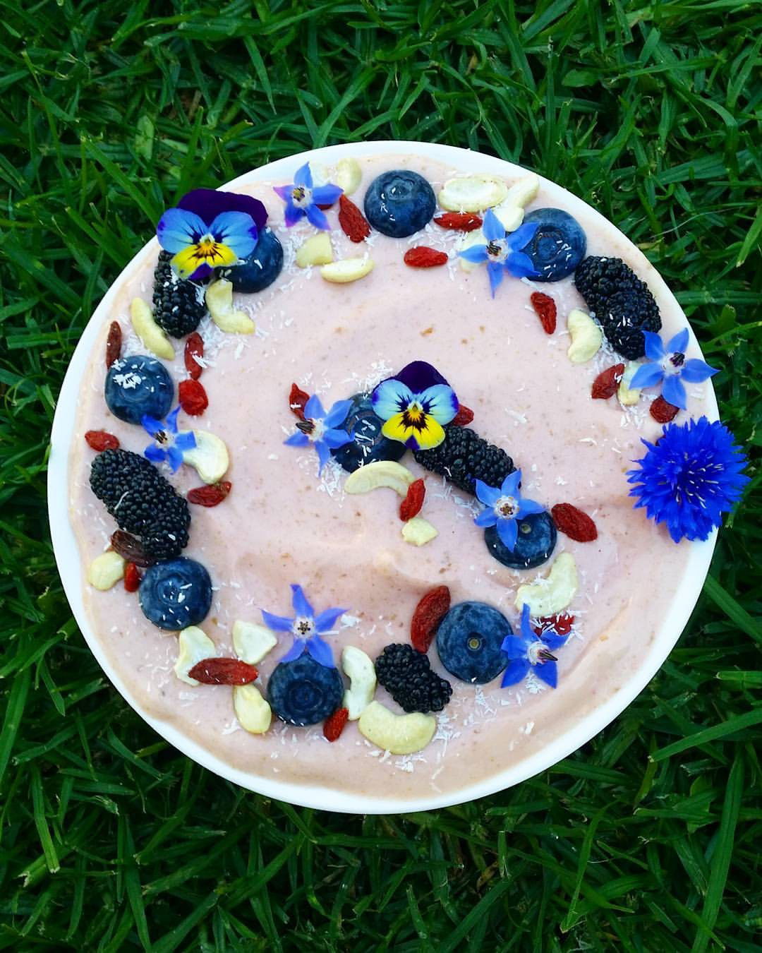 Photo by Captain-LeChene with the username @Captain-LeChene,  October 8, 2016 at 8:52 AM and the text says 'thenourishmentconsultant:

Fibonacci spiral medicine smoothie this morning. It’s a berry bliss bowl of home grown mulberries, blueberries and strawberries. 
Adorned with edible borage flowers, blue cornflower and pansies. 
Loving the abundance of spring..'