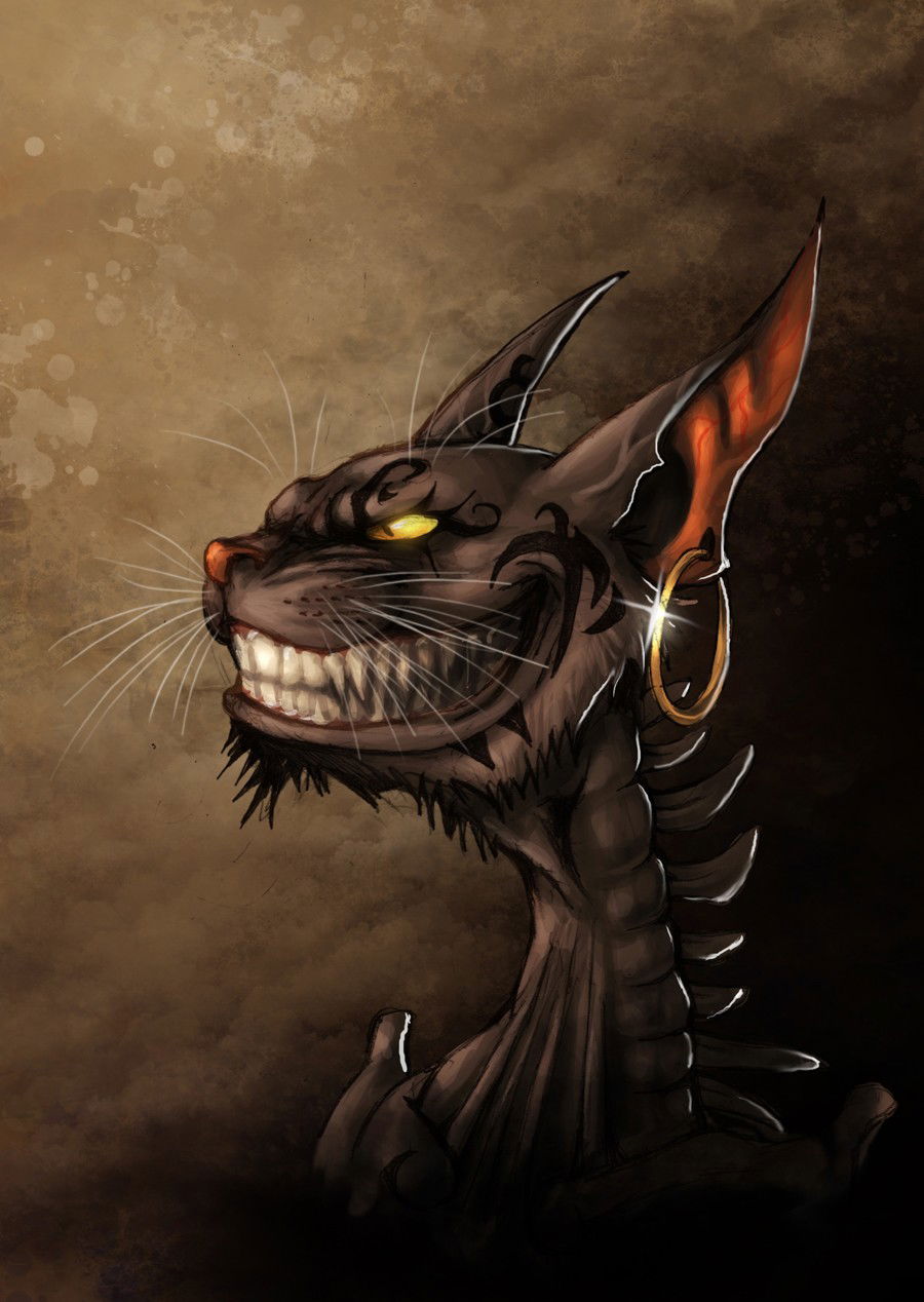 Photo by Firepower with the username @hungrygirls,  February 12, 2014 at 1:02 AM and the text says 'Alice madness returns - Cheshire Grin by fiszike #games  #alice  #madness  #returns  #cheshire  #grin  #fiszike'