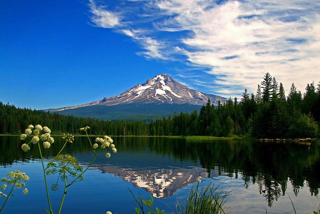 Photo by Firepower with the username @hungrygirls,  September 27, 2014 at 12:01 AM and the text says 'Mount Hood and Trillium Lake by tomblandford on Flickr. #oregonlandscape  #mountainlake  #water  #reflection  #trees  #mound  #hood  #Lake'