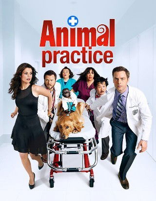 Photo by nicksnastypleasures with the username @nicksnastypleasures,  August 28, 2012 at 11:14 AM and the text says 'I am watching Animal Practice
    

            “first episode was funny let&rsquo;s see if it survives the network scrutiny ”
    
    
        
            Check-in to
        
     Animal Practice on GetGlue.com
     #Animal  #Practice  #tv'