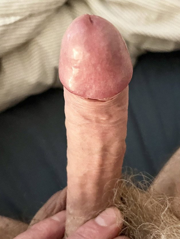 Photo by Rob-Jesper-P with the username @Rob-Jesper-P, who is a verified user,  June 19, 2024 at 3:28 AM and the text says 'Woke up this morning with a boner and did not have to touch it ..  A big explosion of jizz every where 💦💦💦 😃 What do you think .. Does this happen to you ? ?'